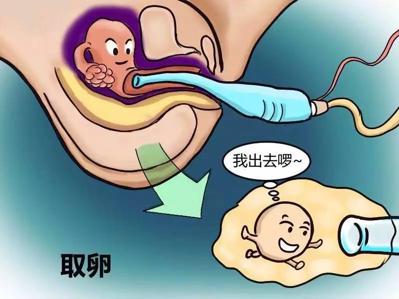 你知道吗？南通供卵试管婴儿费用和南通供卵试管婴儿费用相差如此之大!