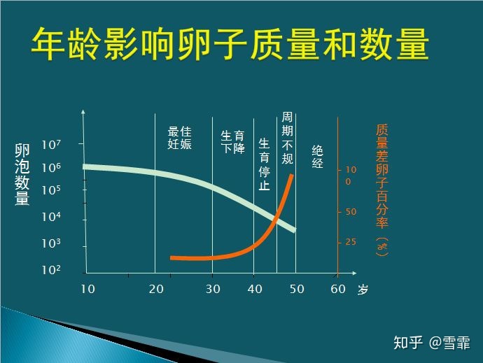 广州双子座供卵做二代代怀试管，什么时候确定胎儿的性别？