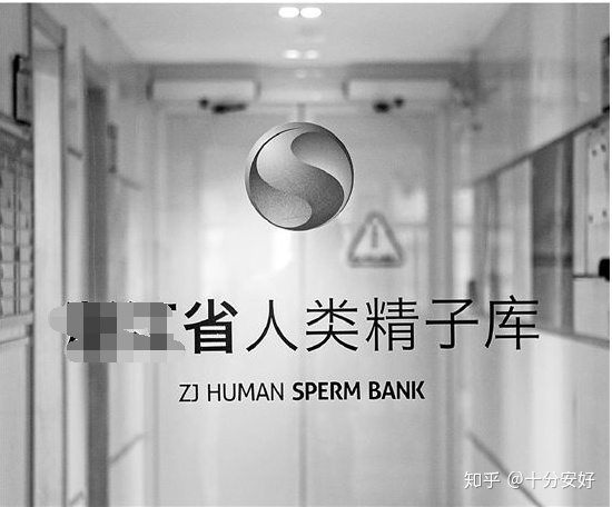 广州双子座供卵做二代代怀试管，什么时候确定胎儿的性别？