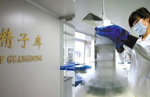 广州双子座供卵做二代代怀试管，什么时候确定胎儿的性别？