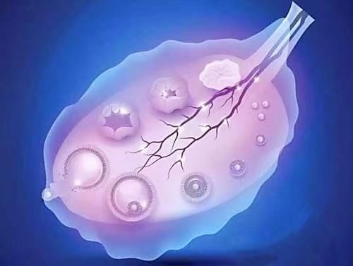 HIV患者做借卵试管哪里代生的洗精流程及事项!