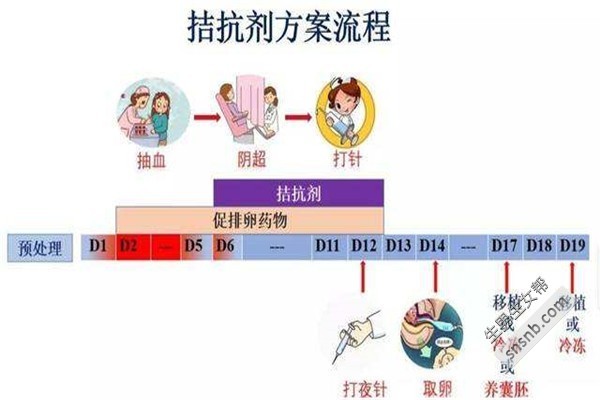 江苏南通哪家赠卵试管婴儿做的最好帖吧