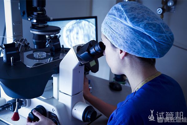 生双胞胎的捷径是代怀正规机构吗