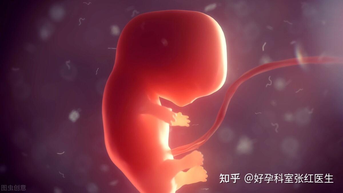 少精子可以代生孩子助孕价格婴儿吗（打算生二胎）