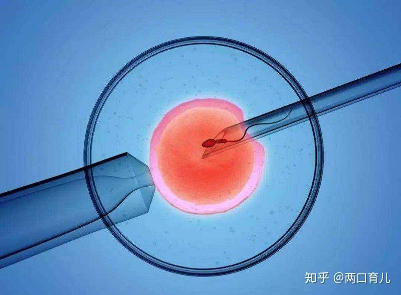 南通看不育不孕的生殖医院哪里比较好
