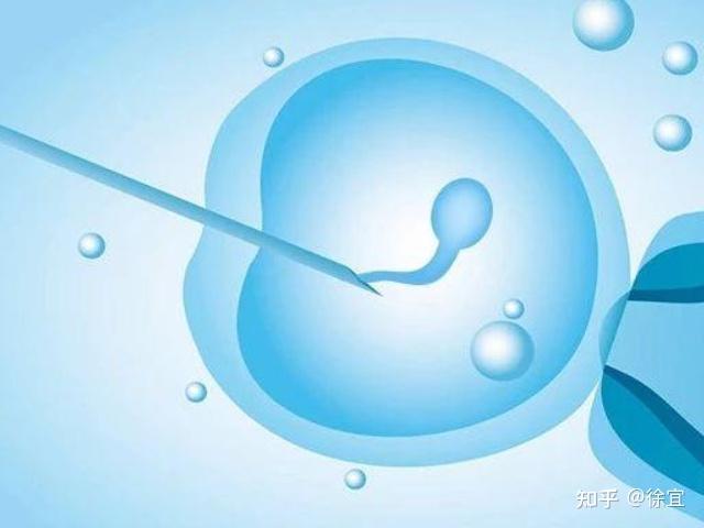 正规代生降调需要多久呢（降调的原因何在？）