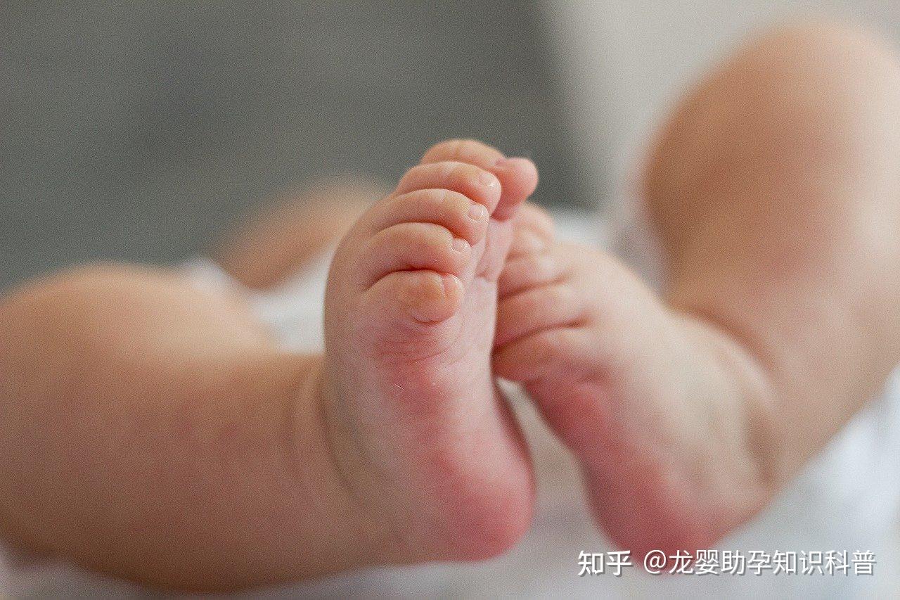 试管包生男孩公司受精的具体过程怎么样