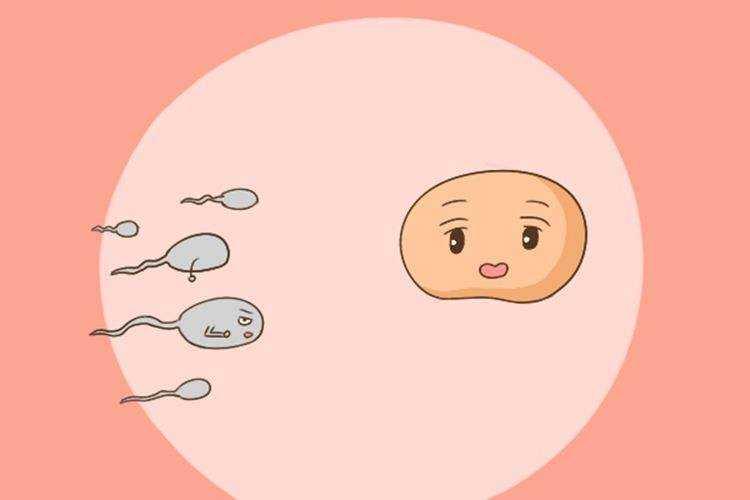 双子宫例假有什么特点（可以正常怀孕生孩子吗？）